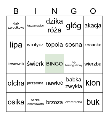 ZUCHOWE BINGO Card