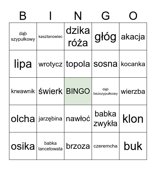 ZUCHOWE BINGO Card