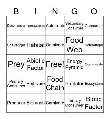 Ecosystems Bingo Card