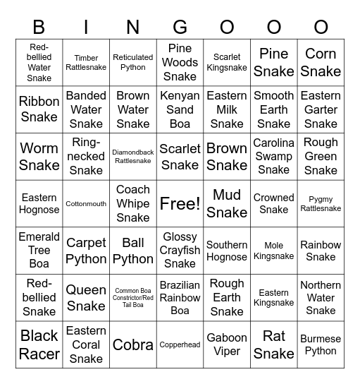 NC Snakes & added Specials Bingo Card
