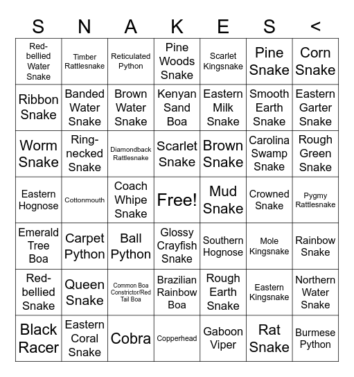 S-N-A-K-E-S Bingo Card