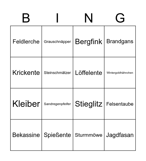 Vögel Bingo Card