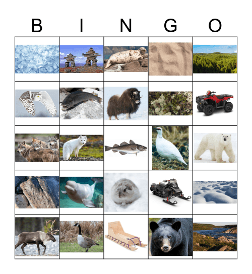 Univers de Kuujjuaq 1 (objets) Bingo Card