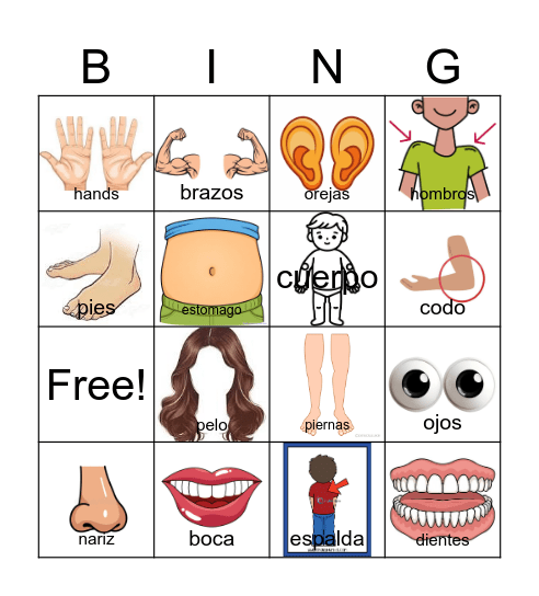 El Cuerpo Bingo Card