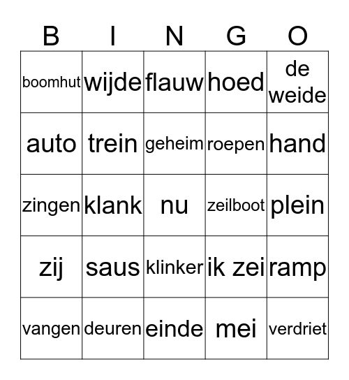 Allemaal spellingsregels Bingo Card