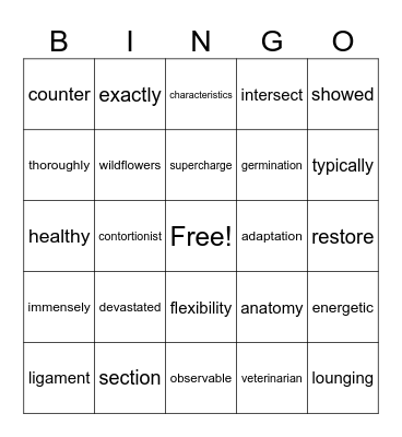 Round 2 Bingo Card