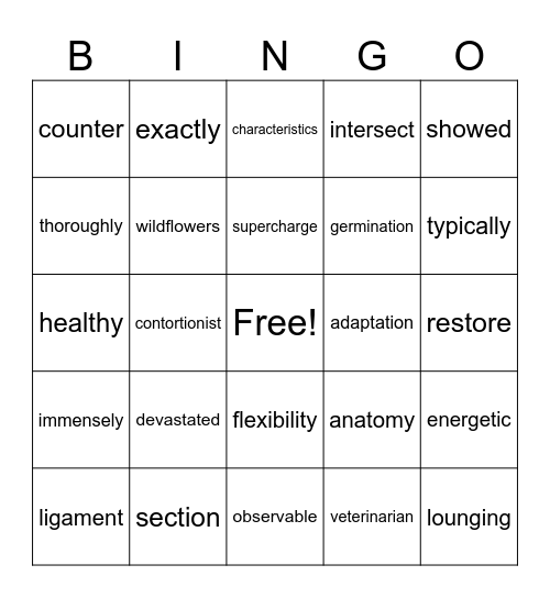 Round 2 Bingo Card