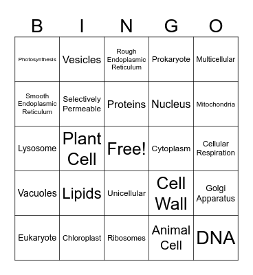 Cell Structure Bingo Card