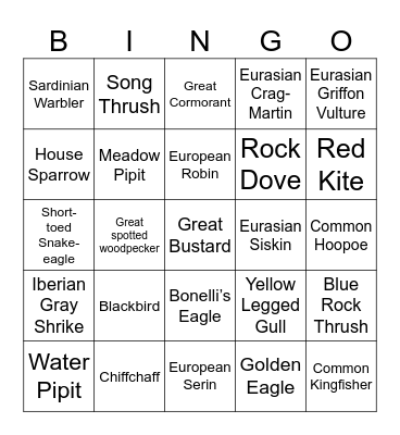 Portuguese Bird Bingo Card