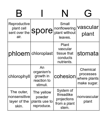 Science Vocabulary Bingo Card