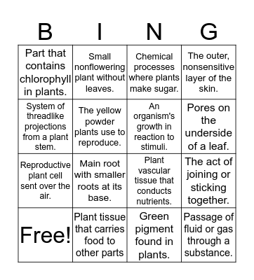 Science Vocabulary Bingo Card