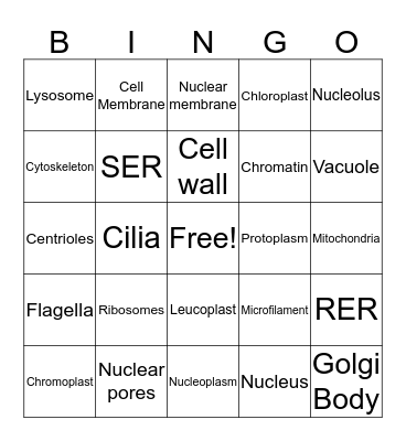 Bio Organelles Bingo Card