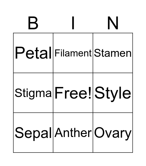 Flower Parts Bingo Card