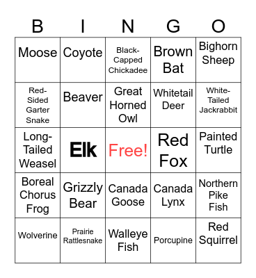 Albertan Animal Bingo Card