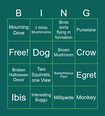 Rain Walk Bingo Card