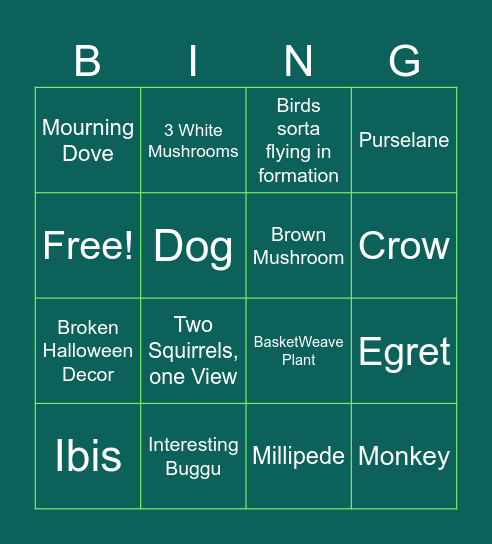 Rain Walk Bingo Card