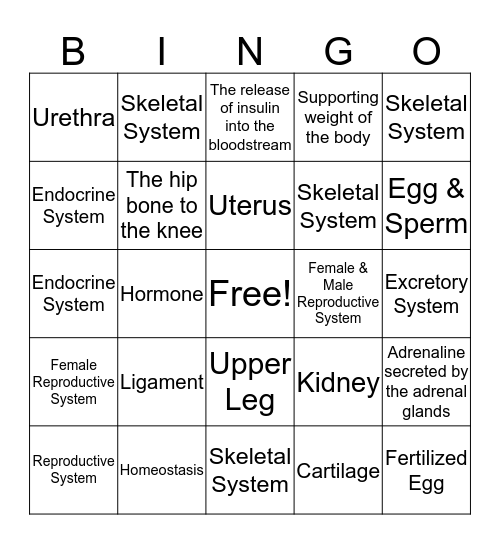 Body Systems Bingo Card