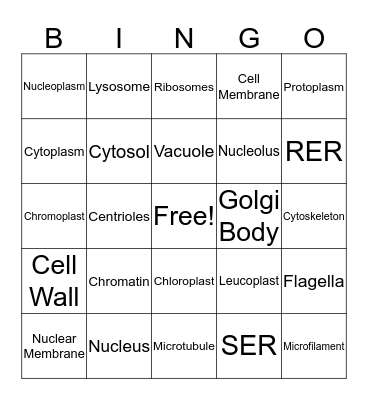 Organelle Bingo Card Bingo Card