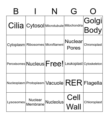 Organelles Bingo Card