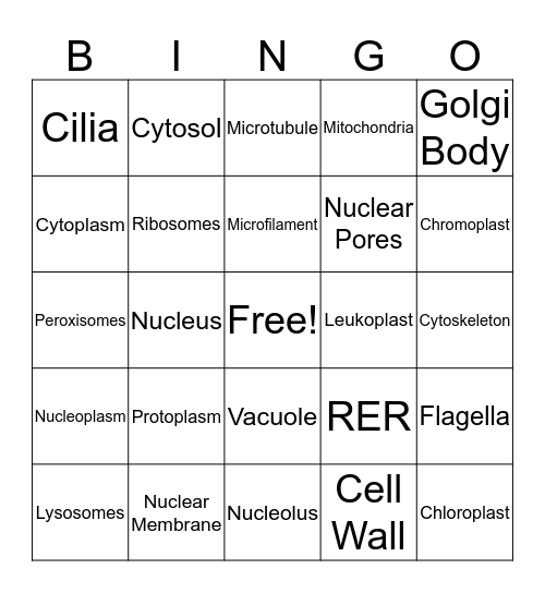 Organelles Bingo Card