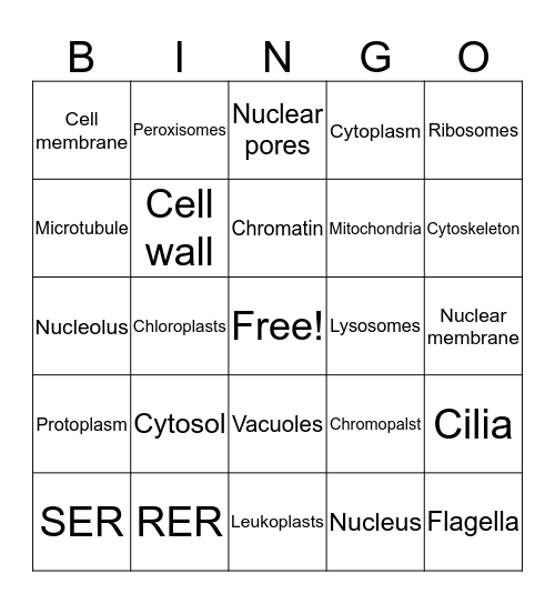Organelles  Bingo Card