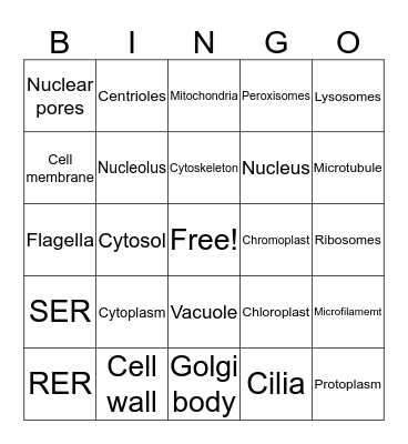 Cell Organelles Bingo Card