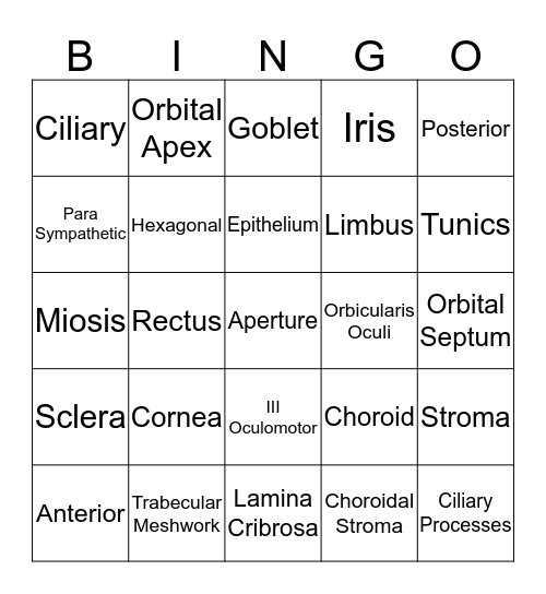 Midterm Madness Bingo Card