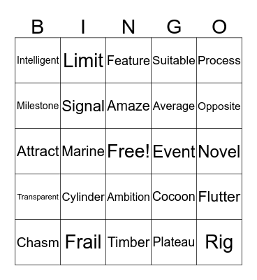 Vocabulary!  Bingo Card