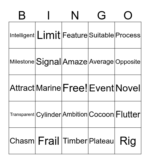 Vocabulary!  Bingo Card