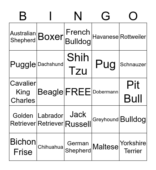 Popular Dog Breeds Bingo Card