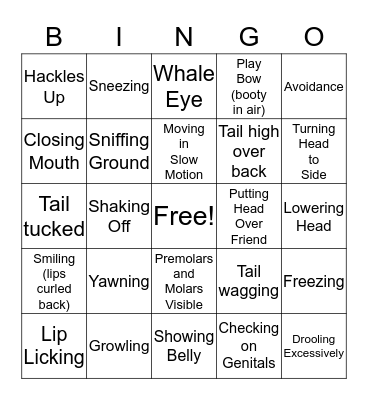 Body Language Bingo Card