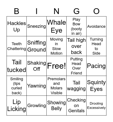 Body Language Bingo Card