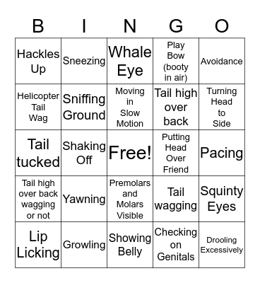 Body Language Bingo Card