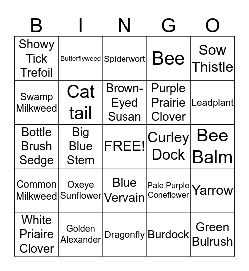 Native Plant Bingo Card