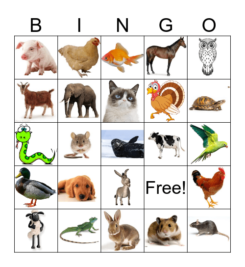 Les animaux Bingo Card