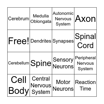 Nervous System Bingo Card