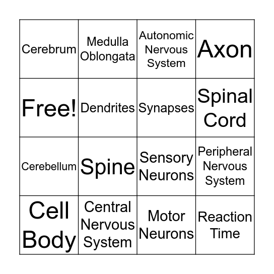 Nervous System Bingo Card