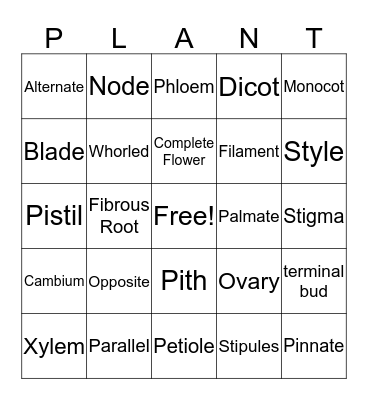 Plant Parts  Bingo Card