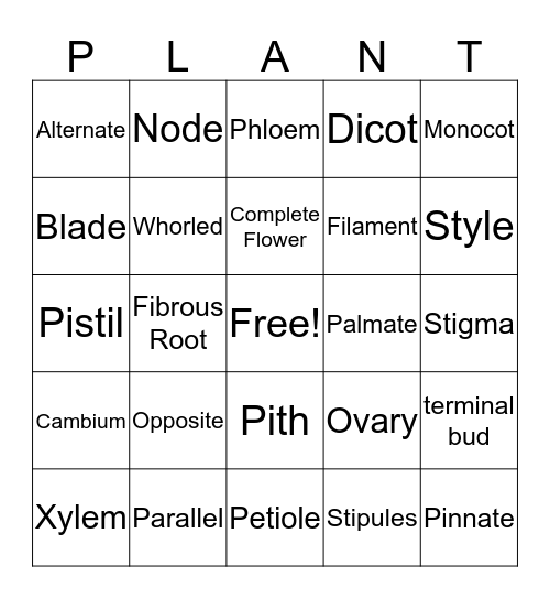 Plant Parts  Bingo Card