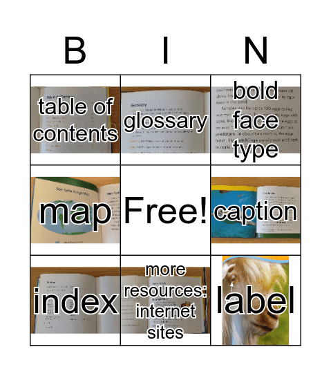 Nonfiction Text Features  Bingo Card
