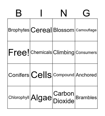 PLANT VOCAB 1 Bingo Card