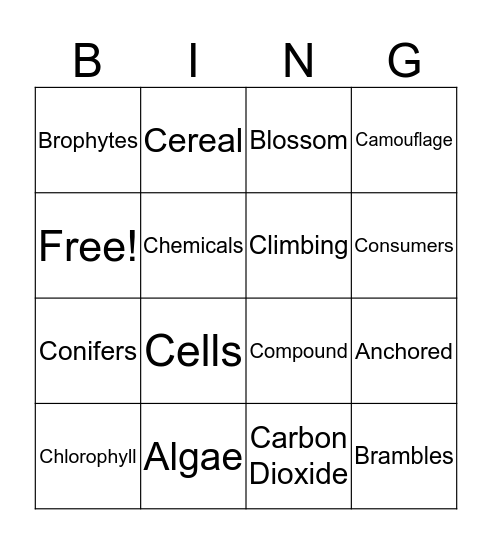 PLANT VOCAB 1 Bingo Card