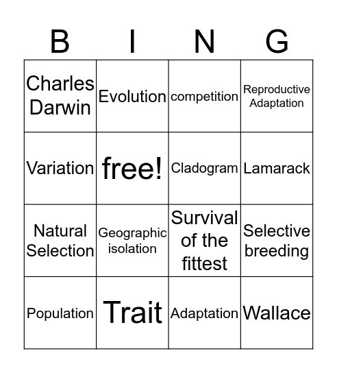 Evolution Vocab Bingo Card