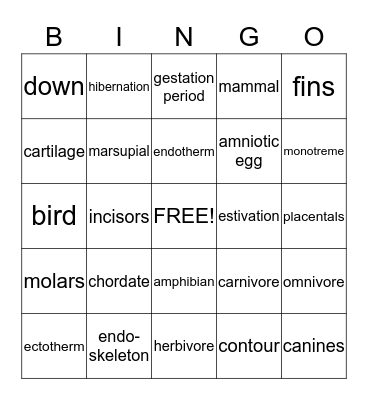Vertebrate Animals Bingo Card
