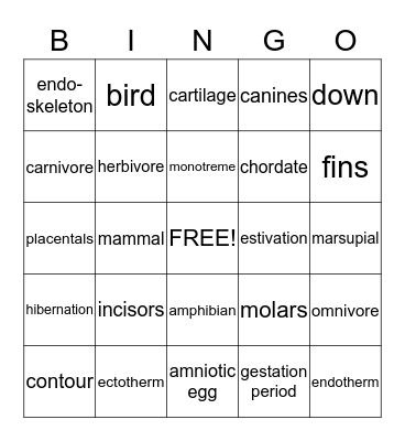 Vertebrate Animals  Bingo Card