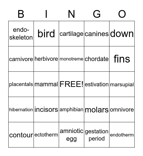 Vertebrate Animals  Bingo Card