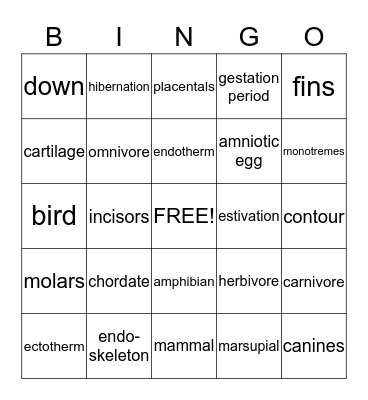 Vertebrate Animals Bingo Card