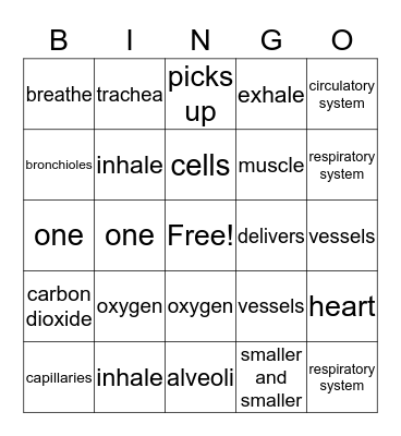 Respiratory and Circulatory Systems Bingo Card