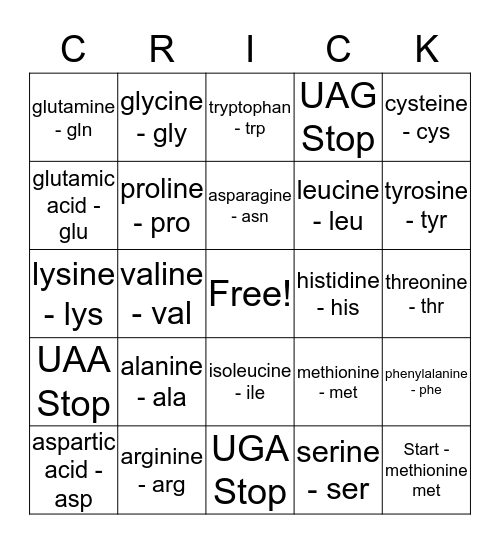 Protein Synthesis Bingo Card