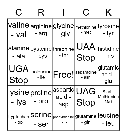 Protein Synthesis Bingo Card